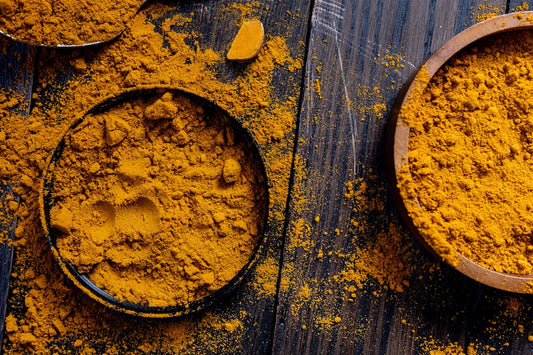 Can Turmeric Extract Boost Your Senior Dog's Health and Quality of Life?