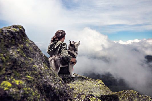 Photo by Vladimir Kudinov: https://www.pexels.com/photo/siberian-husky-beside-woman-sitting-on-gray-rock-mountain-hill-while-watching-aerial-view-36372/
