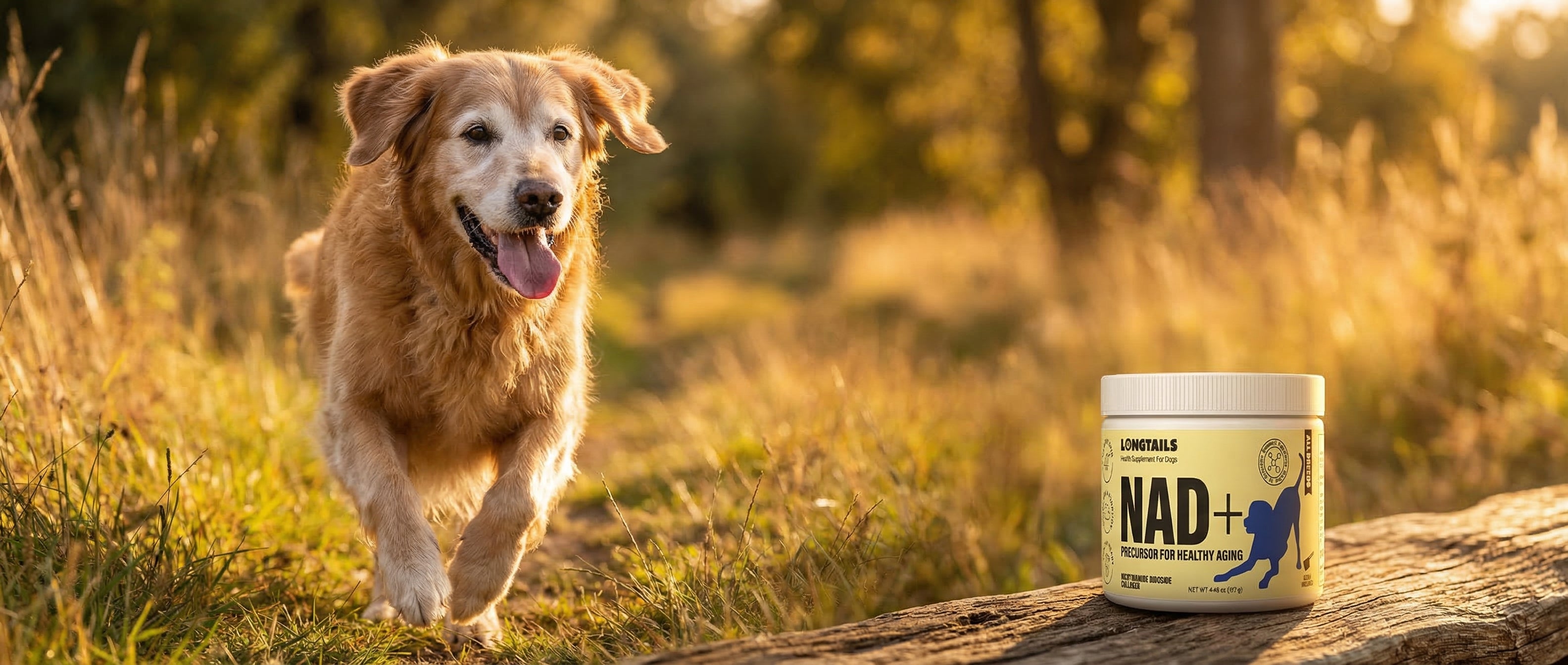 LongTails | Longevity Supplements for Dogs
– LongTails.com