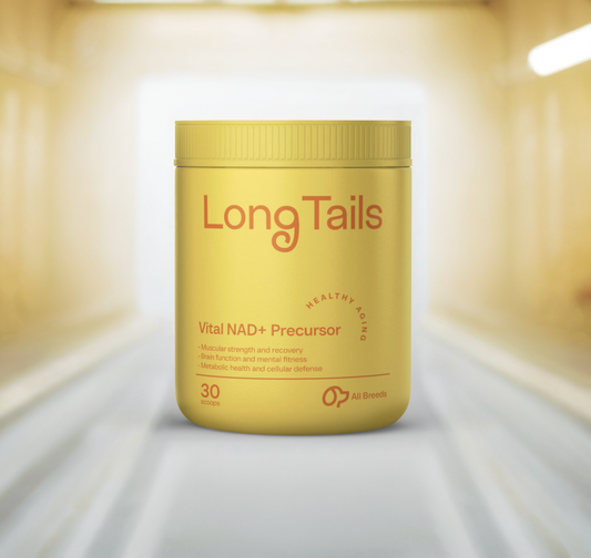 LongTails Vital NAD+ Precursor Supplement for Dogs - Cellular Healthy Aging Support