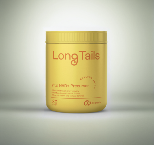 LongTails Vital NAD+ Precursor Supplement for Dogs - Cellular Healthy Aging Support