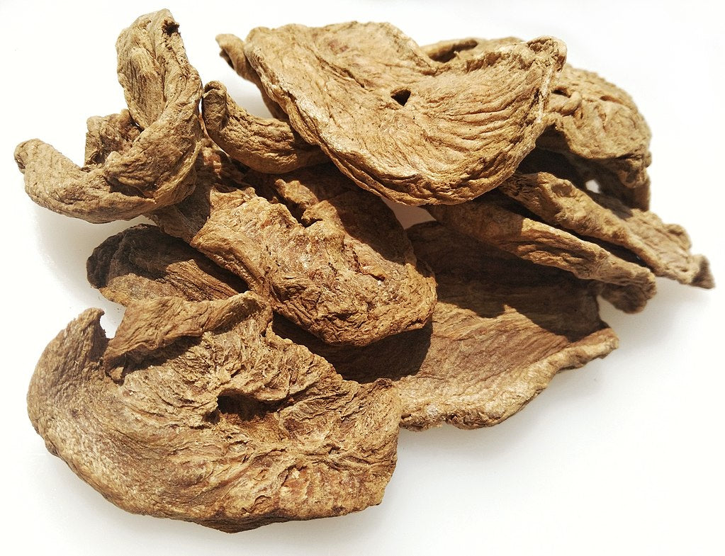 Herbeater - Dried chicory root for making chicory tea  CC BY-SA 4.0