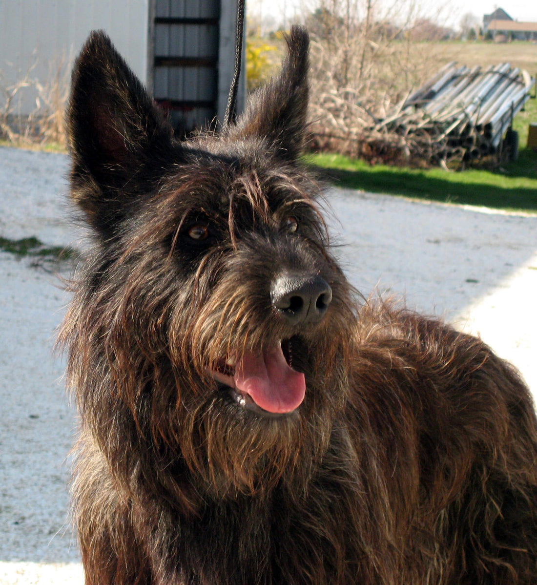 By Leanam (talk) (Uploads) - Own work, Public Domain, https://commons.wikimedia.org/w/index.php?curid=85490418