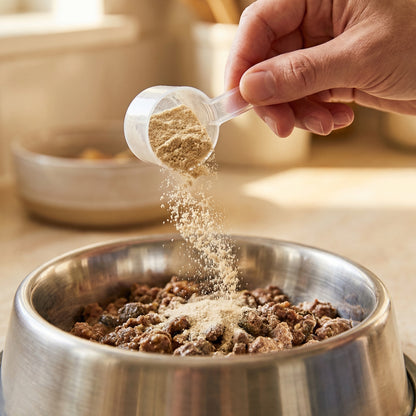 LongTails powder sprinkled from the scoop over a bowl of wet dog food