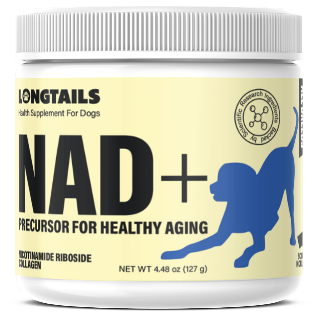 LongTails NAD+ Precursor Health Supplement for Dogs - Cellular Healthy Aging Support